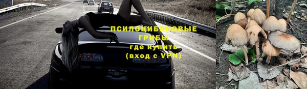 ГАЛЛЮЦИНОГЕННЫЕ ГРИБЫ Армянск