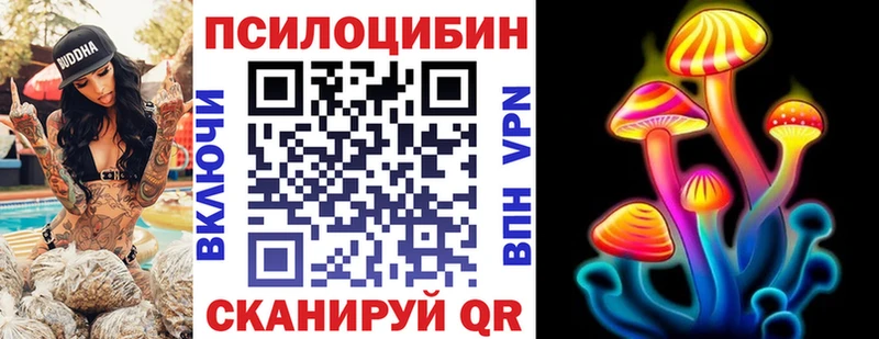 Псилоцибиновые грибы Cubensis Бавлы